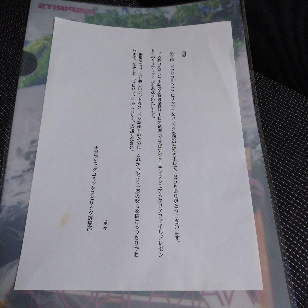 Amazon.co.jp: ビッグコミックスピリッツ井上和香クリアファイル